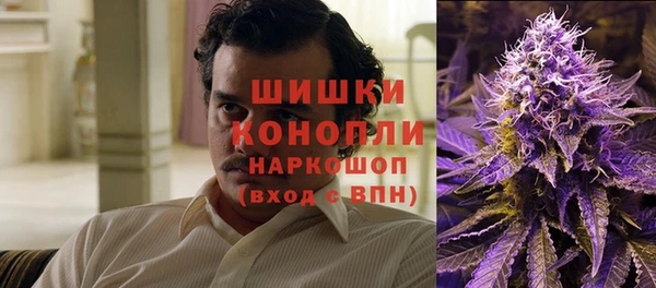 СК Вязьма