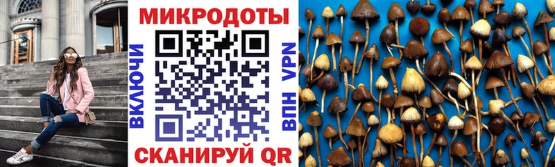 Галлюциногенные грибы прущие грибы Агидель